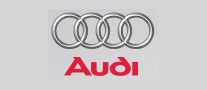 Link to our customer, Audi