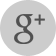 Google Plus